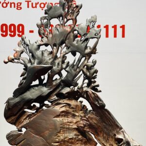 Đôi Chim Trĩ Hoa Mẫu Đơn Gỗ Trắc