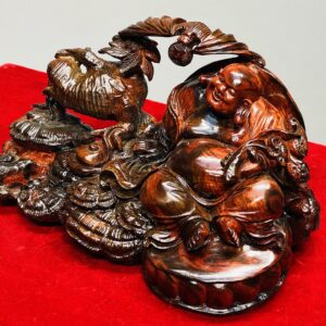 Di Lạc Củ Sâm Gỗ Trắc