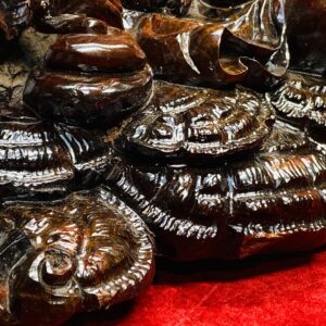 Di Lạc Củ Sâm Gỗ Trắc