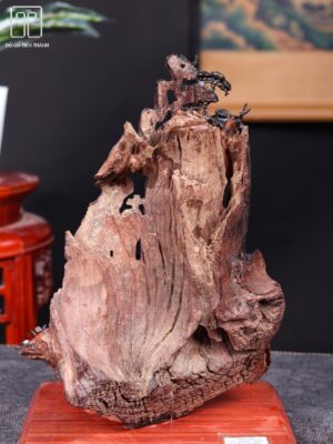 Thần Trà Ngồi Tùng Gỗ Nu Trắc