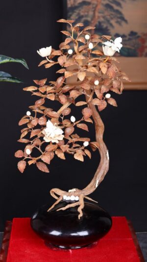Bonsai Hoa Phù Dung Gỗ Sưa
