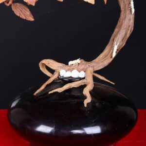 Bonsai Hoa Phù Dung Gỗ Sưa