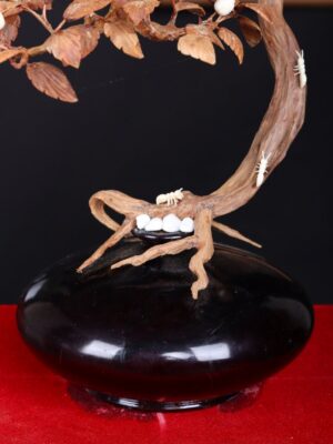 Bonsai Hoa Phù Dung Gỗ Sưa