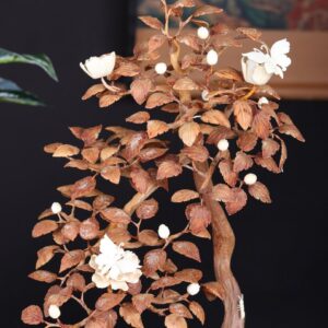 Bonsai Hoa Phù Dung Gỗ Sưa