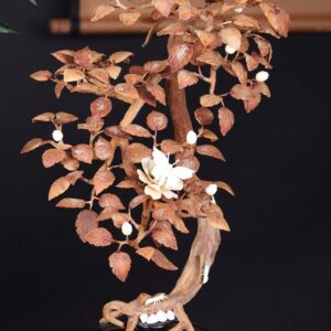 Bonsai Hoa Phù Dung Gỗ Sưa