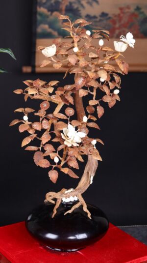 Bonsai Hoa Phù Dung Gỗ Sưa