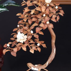 Bonsai Hoa Phù Dung Gỗ Sưa