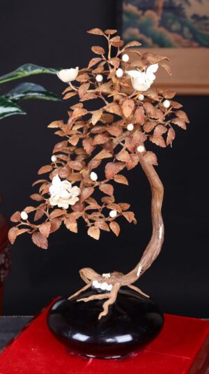 Bonsai Hoa Phù Dung Gỗ Sưa