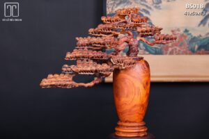 Bình Tùng Gỗ Sưa