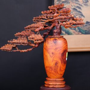 Bình Tùng Gỗ Sưa