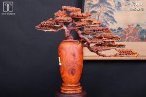 Bình Tùng Gỗ Sưa