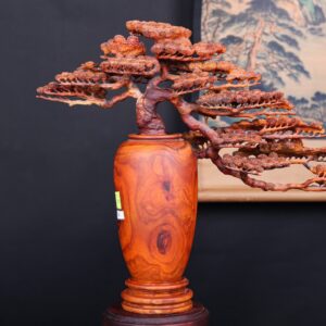 Bình Tùng Gỗ Sưa