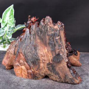 Di Lặc Tam Tiểu Gỗ Nu Trắc