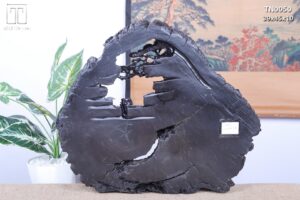 Thần Trà Gỗ Mun Sừng Khánh Hoà