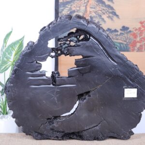 Thần Trà Gỗ Mun Sừng Khánh Hoà