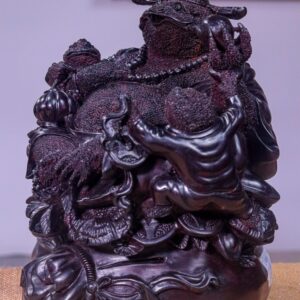 Tổng Cóc Gỗ Tử Đàn