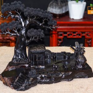 Tiểu cảnh mun xừng