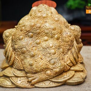 Thiền thừ ngọc nghiến