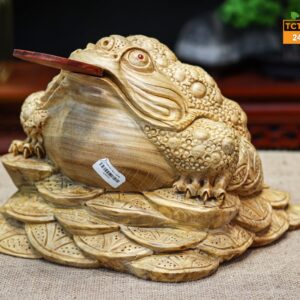 Thiền thừ ngọc nghiến