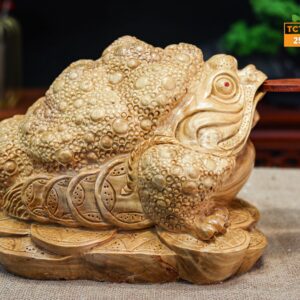 Cóc ngọc nghiến