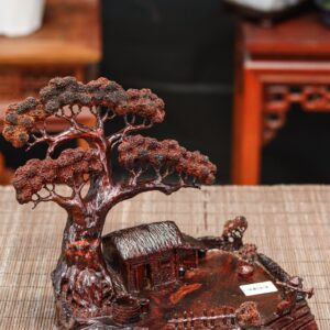 Tiểu cảnh gỗ trắc