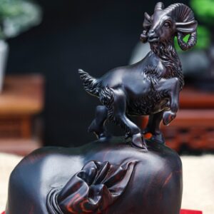 Nhất dương gỗ trắc đen