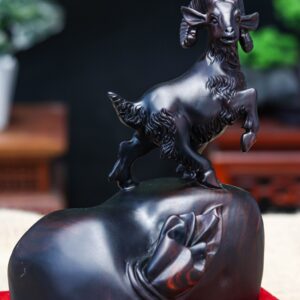 Nhất dương gỗ trắc đen
