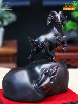 Nhất dương gỗ trắc đen
