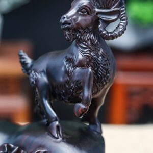 Nhất dương gỗ trắc đen