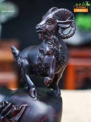 Nhất dương gỗ trắc đen