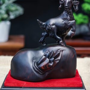Nhất dương gỗ trắc đen