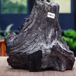 Đạt ma thiền gỗ trắc