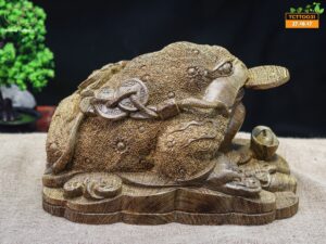Thiềm thừ mun đuôi công