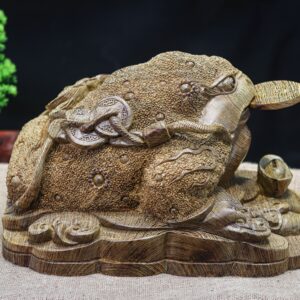 Thiềm thừ mun đuôi công