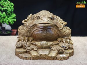 Thiềm thừ mun đuôi công
