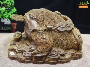 Thiềm thừ mun đuôi công