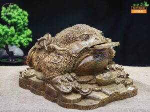 Thiềm thừ mun đuôi công