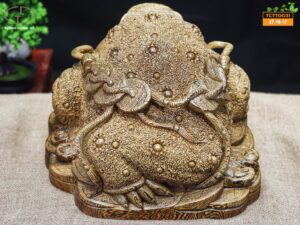 Thiềm thừ mun đuôi công