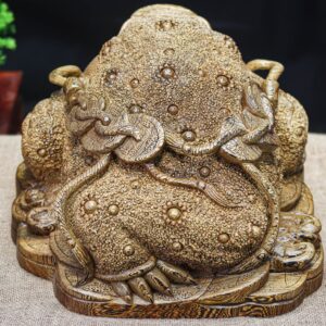 Thiềm thừ mun đuôi công