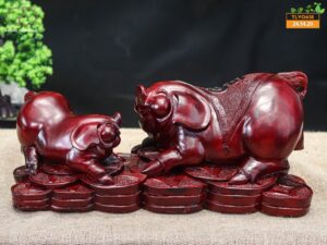 Song heo tử đàn đỏ