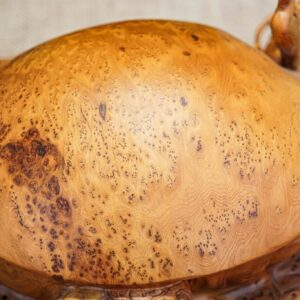 Long quy mẫu tử nu ngọc am