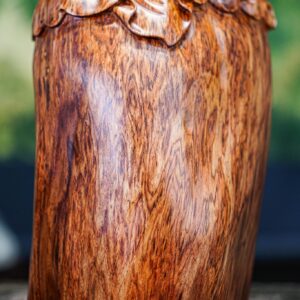 Di lặc nhị phúc nu sưa