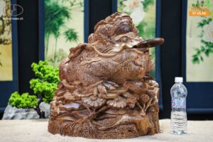 Cóc mẫu tử gỗ mun đuôi công