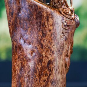 Nhất long gỗ nu sưa