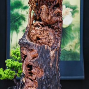 Cá chép hoá rồng lũa cẩm