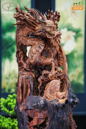 Cá chép hoá rồng lũa cẩm