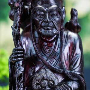 Trường mi gỗ tử đàn tím