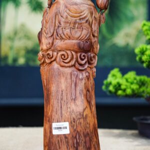 Ông thọ nu sưa