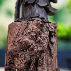 Đạt ma gỗ trắc đen