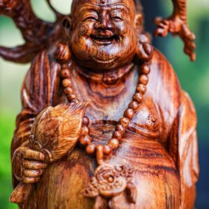 Di lạc nu sưa